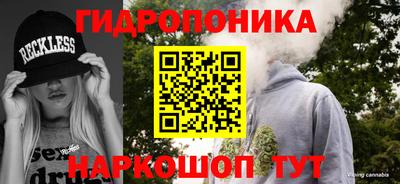 прущие грибы Краснодар