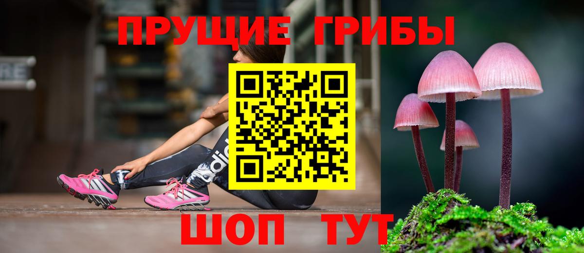 Галлюциногенные грибы Cubensis  Вход с VPN  Псилоцибиновые грибы MAGIC MUSHROOMS  закладка  Зеленогорск 